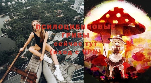 а пвп мука Покачи