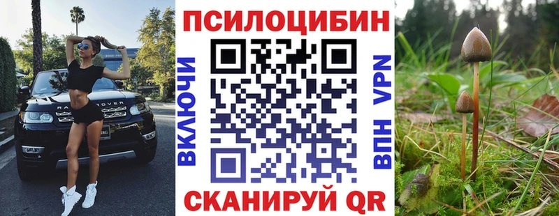 Галлюциногенные грибы мицелий  Купить  Ядрин 